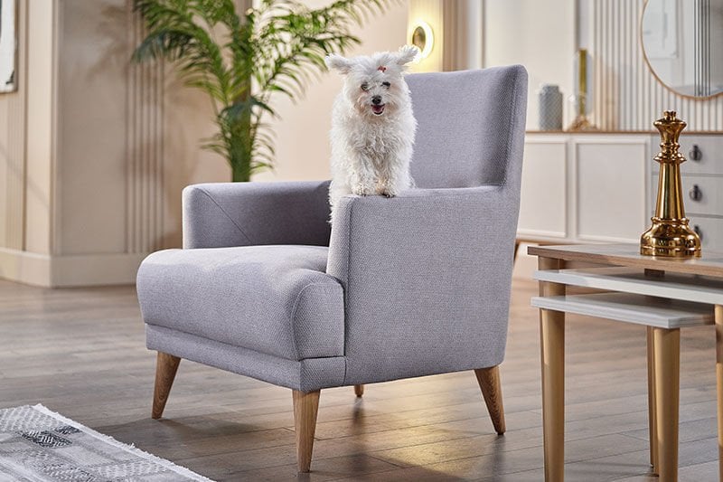 Berjer Nedir? Doğru Berjer Seçimi İçin Tüyolar