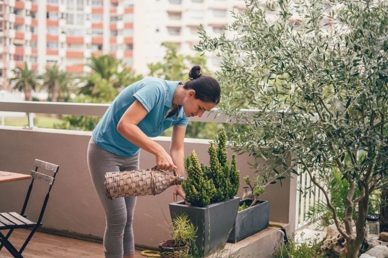 Balkona Böcek Gelmemesi İçin Ne Yapmalı?