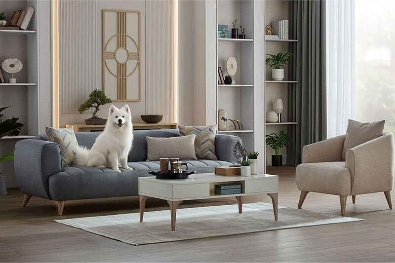 Modayı Takip Eden Modern Tarzda Oturma Grupları ve Koltuk Takımları