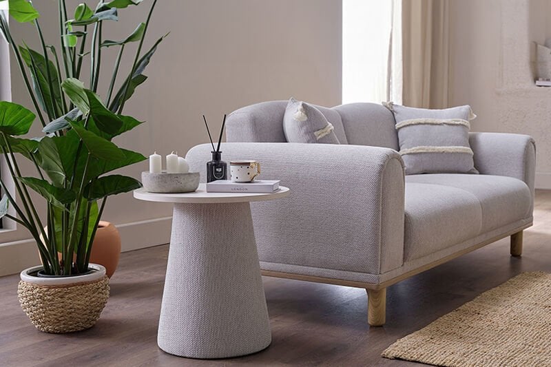 Evde Doğal Hava Temizleyici Bitkiler 