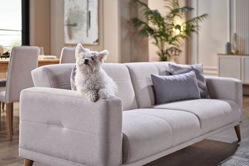 Yeni Nesil ‘Evcilik’: Mobilya Satın Alma Kararını Tetikleyen Sosyal Alışkanlıklar