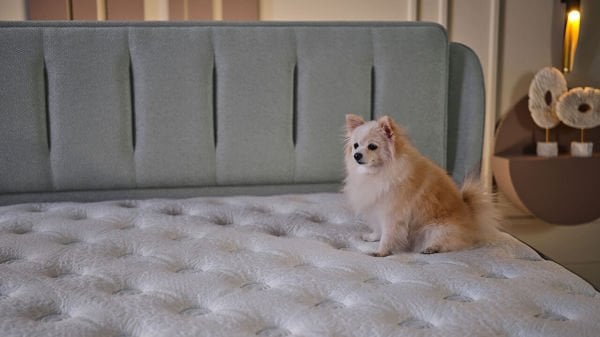 Premium Line Yatak 180X200