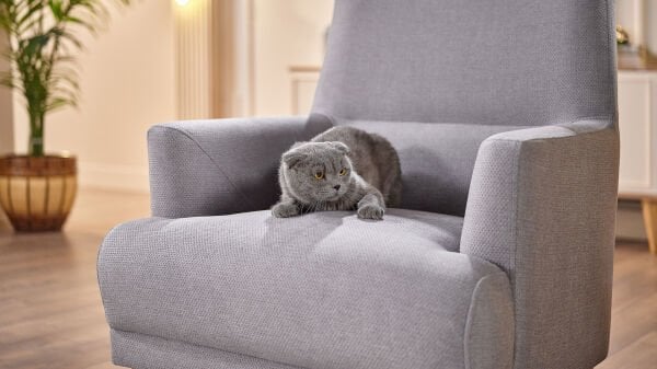 Caldera Koltuk Takımı