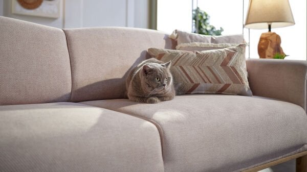 Boheems Koltuk Takımı