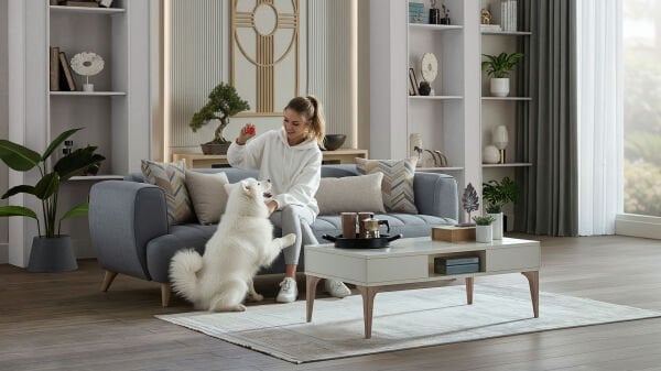 Mona Koltuk Takımı