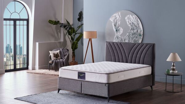 Smart Form S Baza Başlık Seti