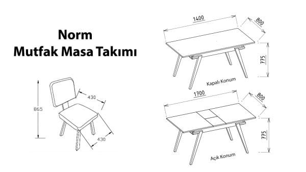 Norm Sandalye 6312 2 li Antrasit