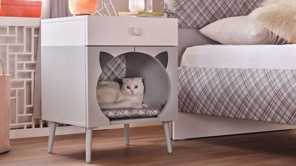Selina Kedi Evi