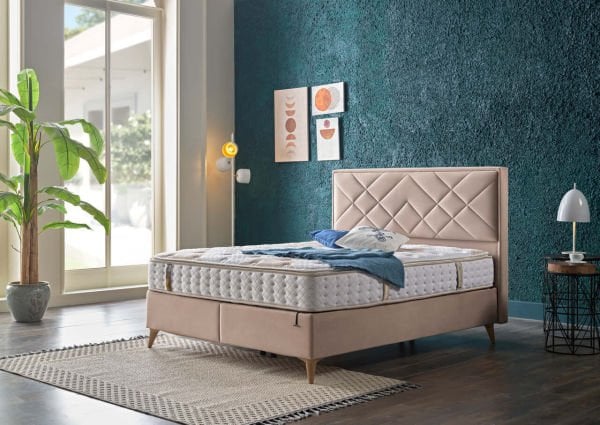 Petra S Başlık 160 - Vizon