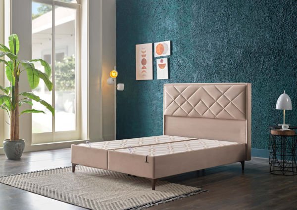 Petra S Başlık 160 - Vizon