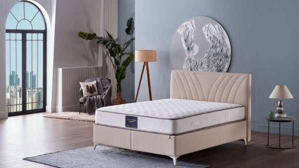 Smart Form S Baza Başlık Seti